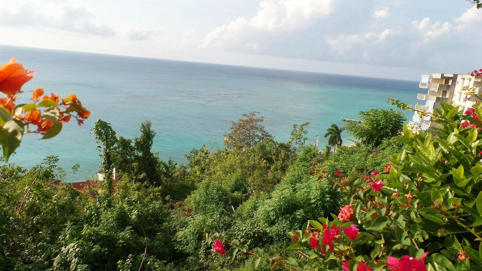 公寓 Skymiles Beach Suite 蒙特哥贝